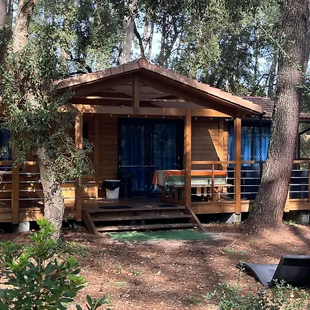 Chalet N59 Armagnac Campsite *